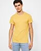 5 T-shirts FOX - ROLY