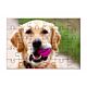 Puzzle en bois sublimable