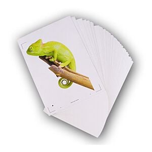 50 Feuilles A4 Adhésive de vinyle blanc pour imprimante laser