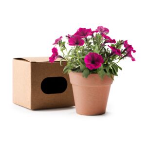 1 POT AVEC GRAINES VOLEN