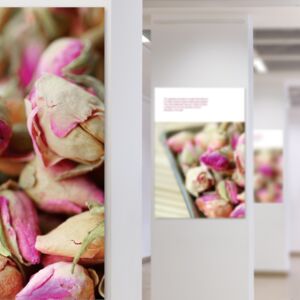 papier Photo Blanc Brillant 260 g/m²
